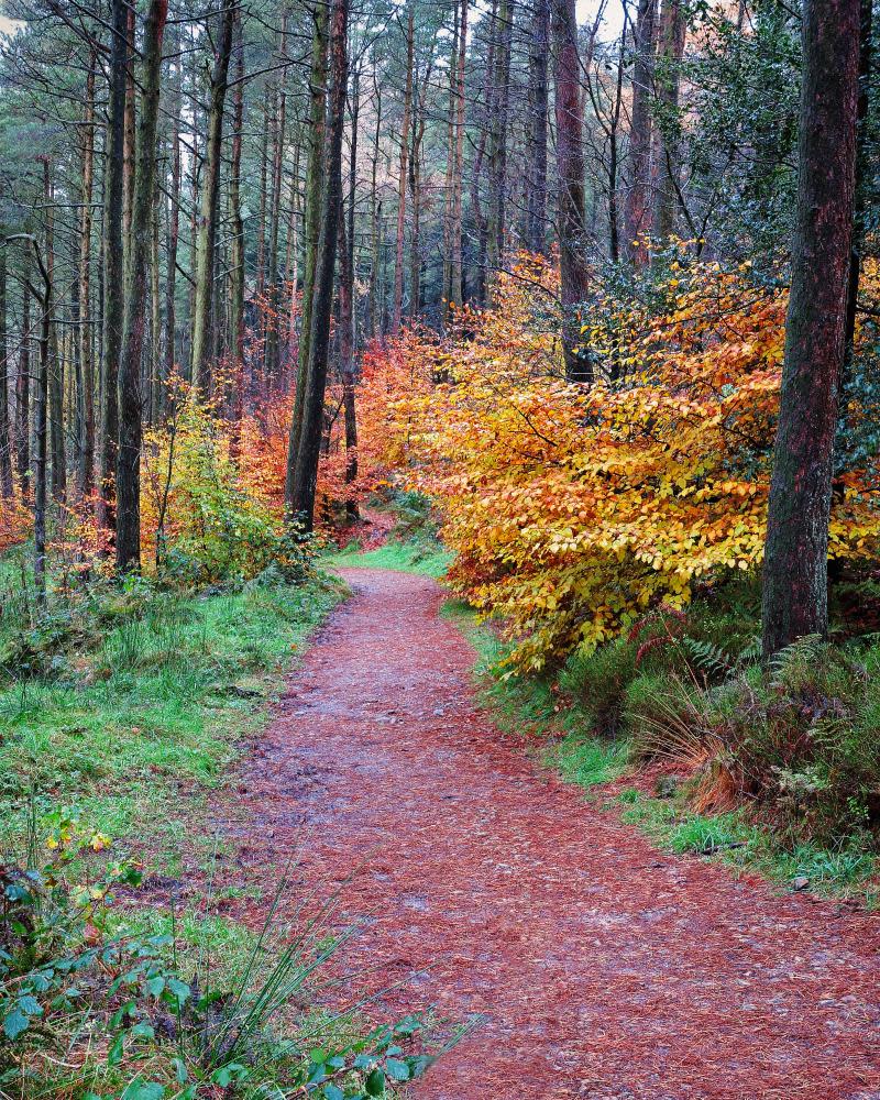 Downham, Forest of Bowland, Lancashire