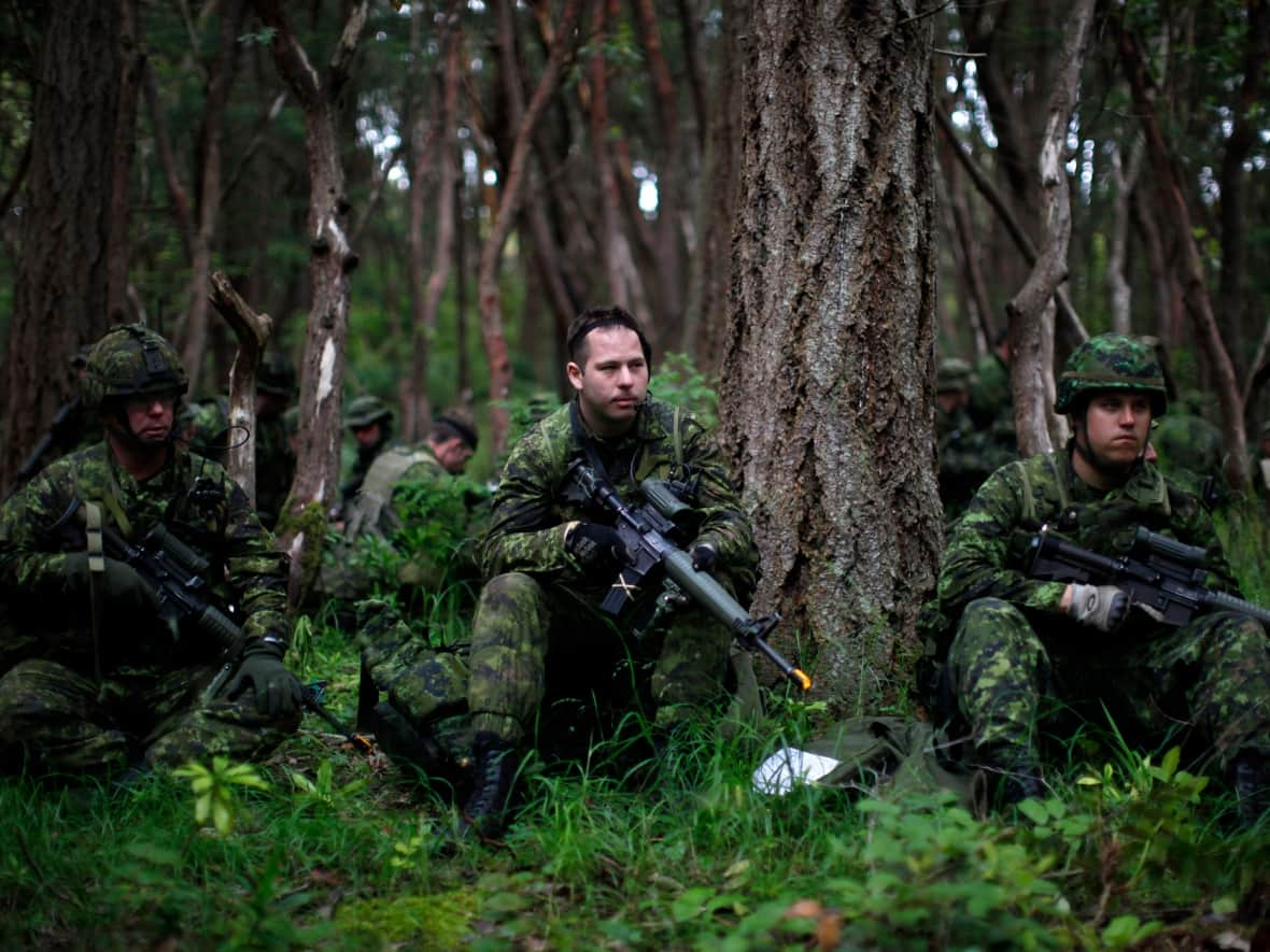 Cpl. Michael Huard, centre, keeps quiet with one hundred and fifty armoured members of the Canadian Army Royal 22nd Regiment from Valcartier, Quebec, taking part in the Trident Fury 13 military exercises at Albert Head Beach in Metchosin, B.C. on Friday May 17, 2013. (Chad Hipolito/The Canadian Press - image credit)