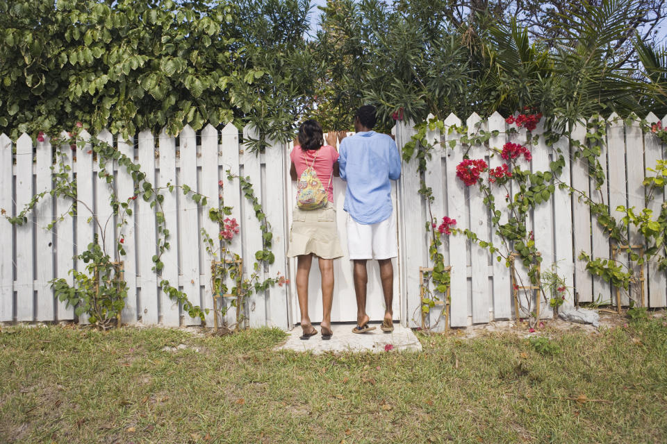 People looking over a fence