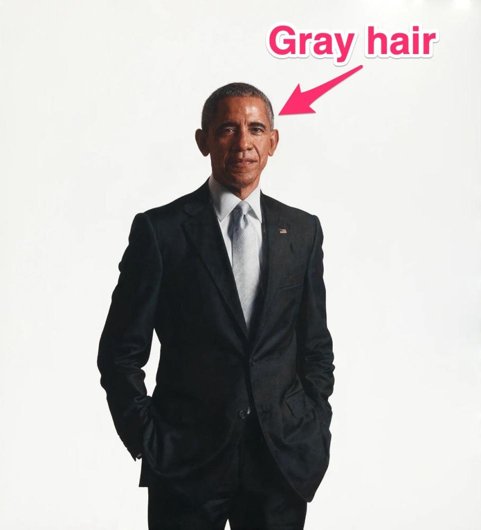 Barack Obama's official White House portrait featuring his gray hair