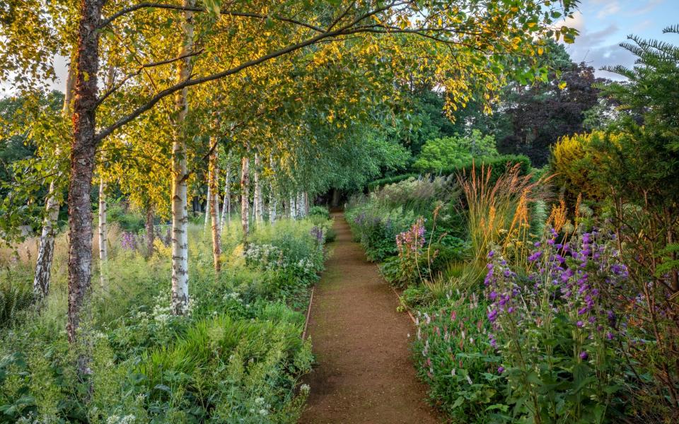 By sensitively pruning tree branches it is possible to minimise shade - Gavin McWilliam / Marianne Majerus