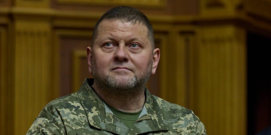 Former Commander-in-Chief of Armed Forces of Ukraine Valerii Zaluzhnyi