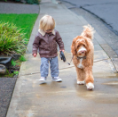 <p>Buddy and Reagan the labradoodle are true BFFs. (Caters) </p>