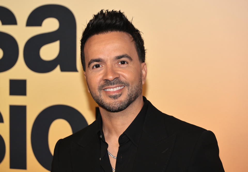 La carrera de Luis Fonsi se apagó tras el divorcio y solo resurgió con fuerza con 