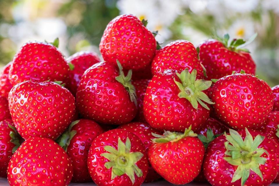 The Pesticide Action Network found at least 95% of UK strawberry samples tested contained PFAS pesticides (NickyPe/Pixabay)