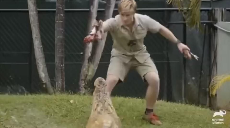 Robert Irwin trying to feed Casper