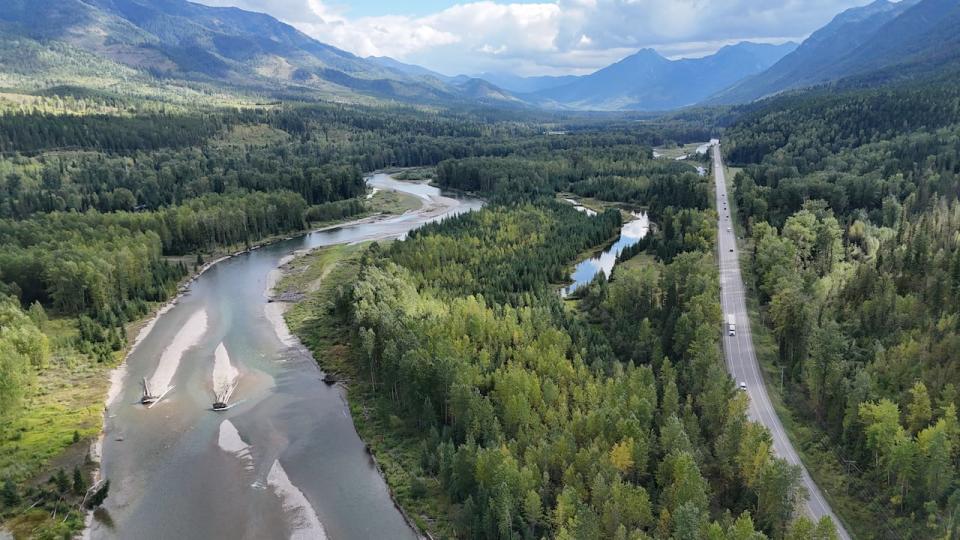 Pictured is the Elk River in Fernie, B.C. on Friday, September 13, 2024. The Elk River is at-risk of whirling disease. 