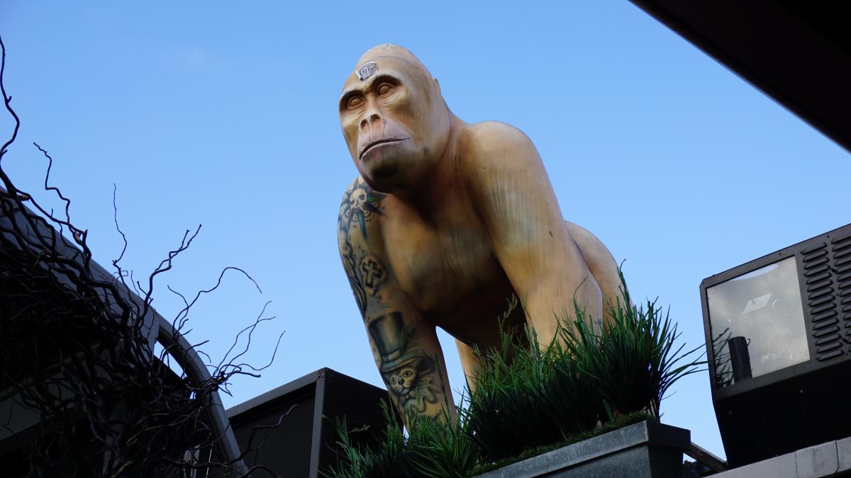 Why a Trail of Life-Size Gorilla Sculptures Popped Up in London, Smart  News