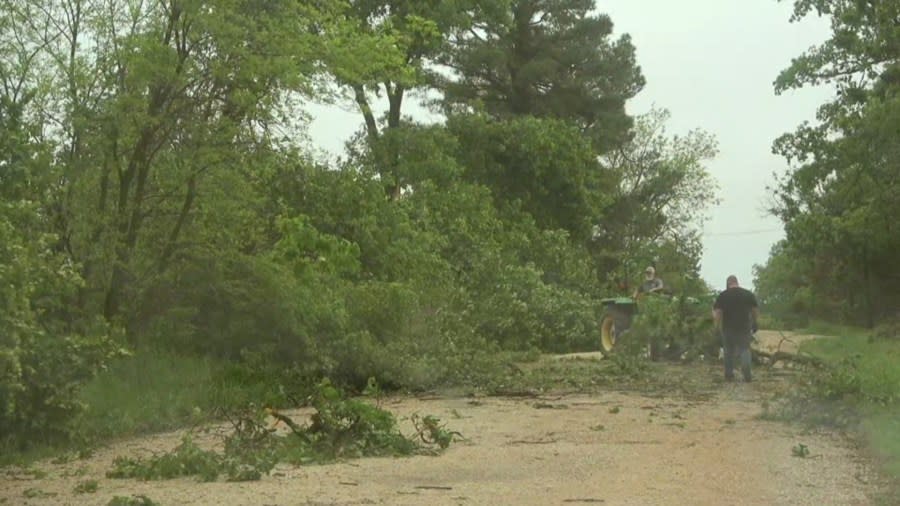 Trees damaged by severe weather in Bethel Acres.