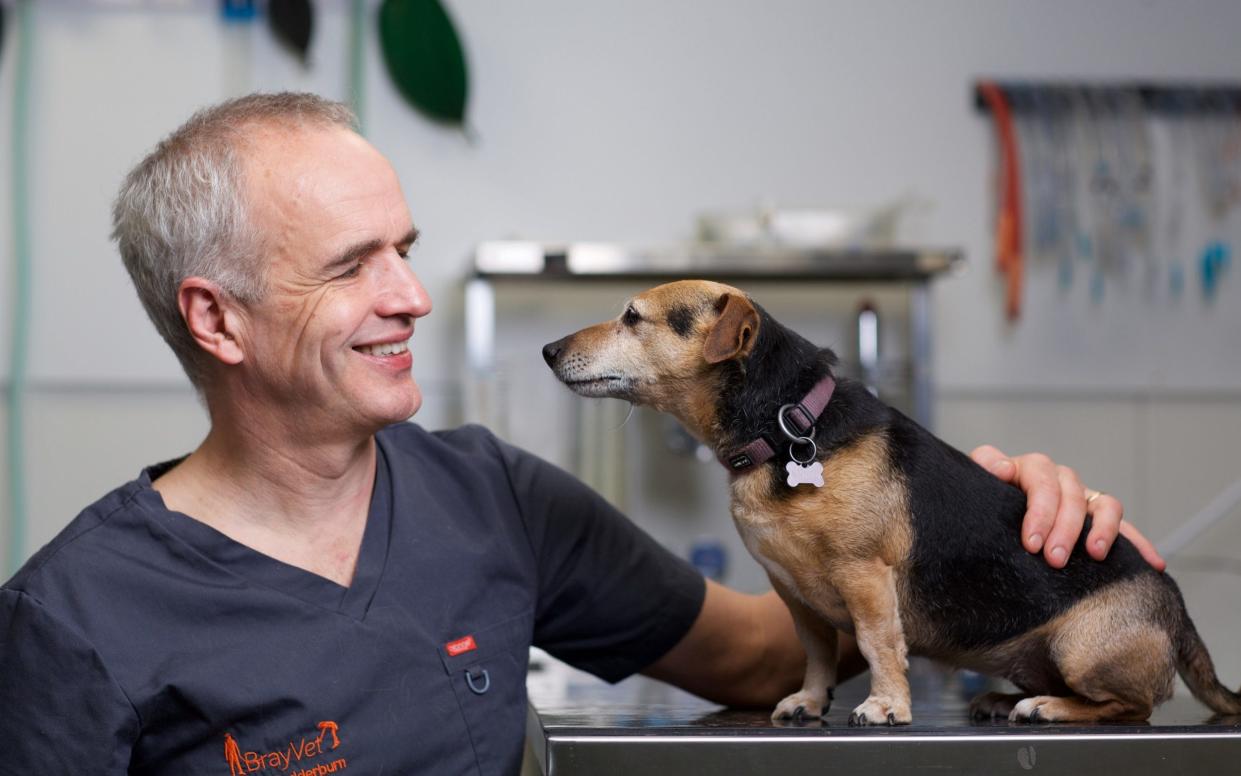 Telegraph vet Pete Wedderburn explains the reasons behind pet care fees - Patrick Bolger