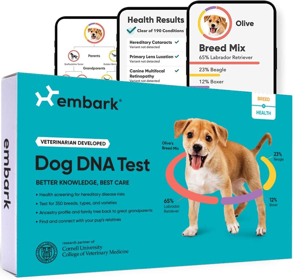 Embark Dog DNA Test Kit: Prime Early Access Sale deals