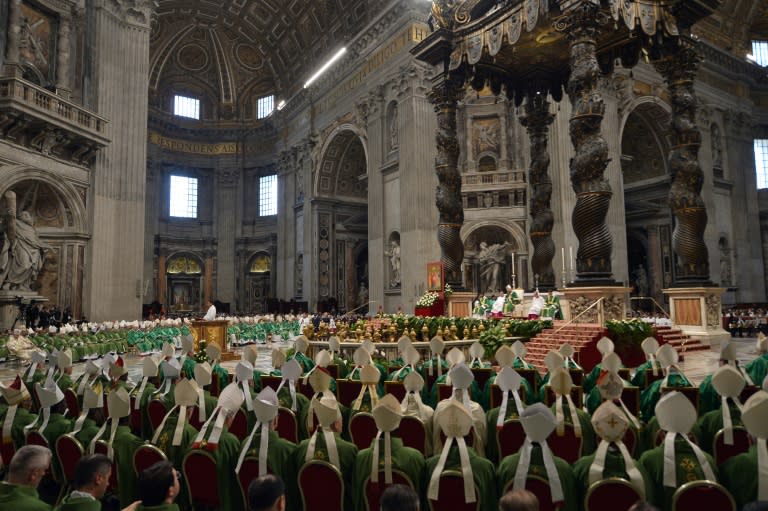 During the mass at St Peter's basilica, Pope Francis delivered a homily on "solitude, love between man and woman, and the family"