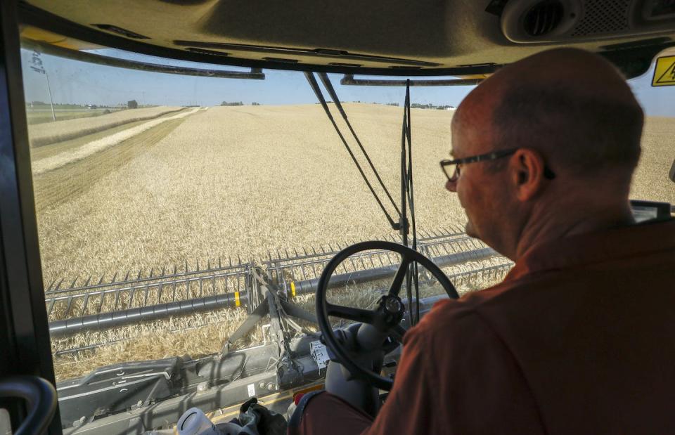 An Alberta farmer drives a combine as he harvests his wheat crop near Cremona, Alta., in September 2022. THE CANADIAN PRESS/Jeff McIntosh. THE CANADIAN PRESS/Jeff McIntosh