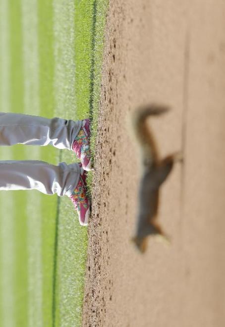 Brian Dozier of the Twins watches as a squirrel runs on the field during Saturday's game in Cleveland. (AP)