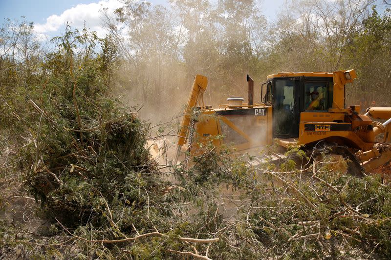 The Wider Image: Collapse, contamination: Mexican scientists sound alarm at Mayan Train