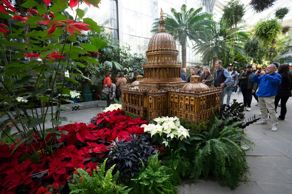 Visitors look at a replica of the U.S. Capitol adorned with different varieties of poinsettias on display at the U.S. Botanic Garden, Saturday, Dec. 16, 2023, in Washington. (AP Photo/Manuel Balce Ceneta)