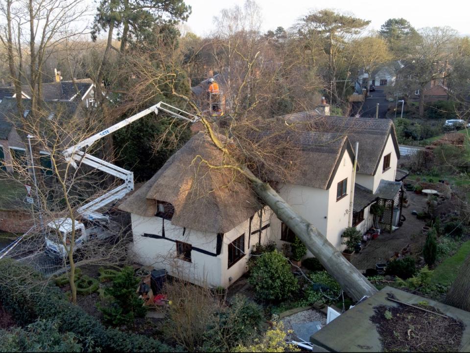 Heavy winds brought down trees and caused widespread damage during the 2022 storms (PA)