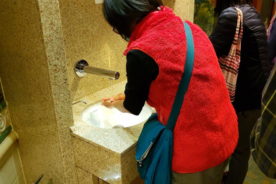 diamond princess on board handwashing