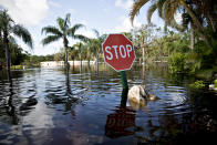 <p>A stop sign stands above flood waters in Bonita Springs, Fla, on Sept. 12, 2017. Hurricane Irma smashed into Southern Florida as a Category 4 storm, driving a wall of water and violent winds ashore and marking the first time since 1964 the U.S. was hit by back-to-back major hurricanes. (Photo: Daniel Acker/Bloomberg via Getty Images) </p>