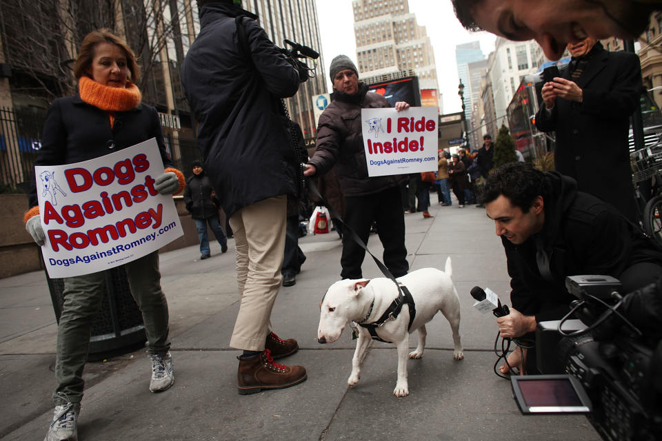 Dogs Against Romney