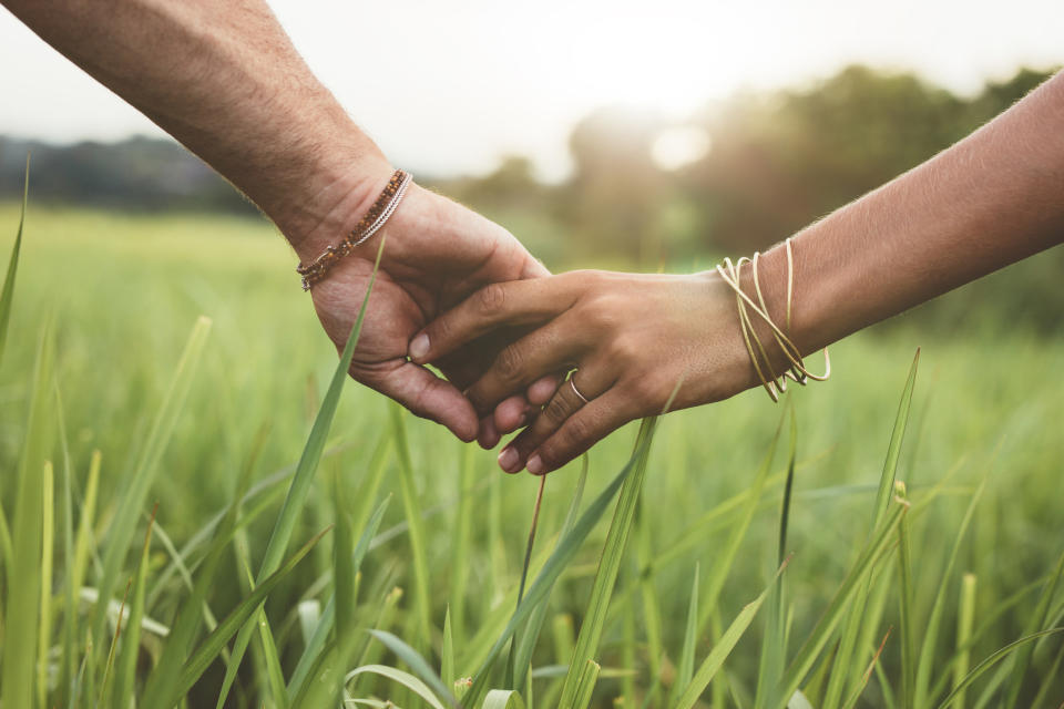 hand holding in the grass