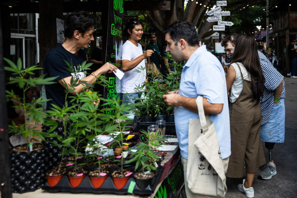 <div class="inline-image__caption"><p>Vendors sell cannabis plants to customers at the Thai High Convention on Dec. 10, 2022 in Chiang Mai, Thailand. The Thai High Club hosts its first cannabis festival in Chiang Mai to celebrate the newly legal industry in Thailand.</p></div> <div class="inline-image__credit">Lauren DeCicca/Getty Images</div>