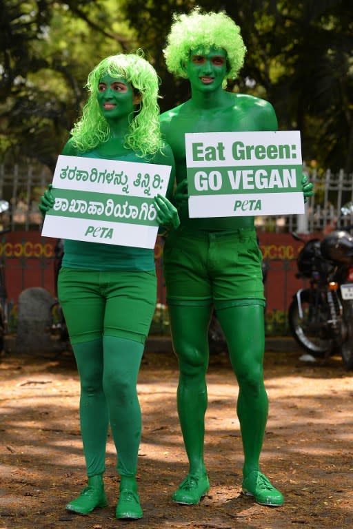 <p>Activists from NGO People for Ethical Treatment of Animals(PETA)pose painted in green hold “Go Green” placards in Bangalore on March 16, 2016, as they take part in a campaign urging members of the public to become vegetarian ahead of St Patrick’s Day. </p>