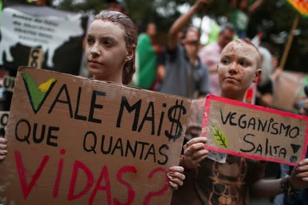 Global climate strike in Rio de Janeiro 