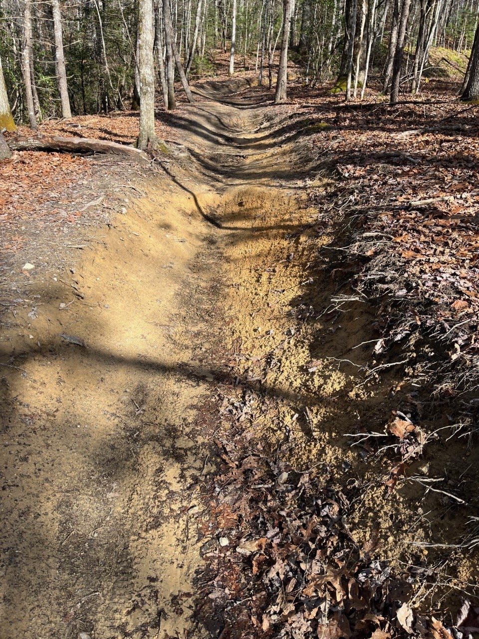 Erosion has taken a toll along the Ridgeline Trail in DuPont State Recreational Forest.