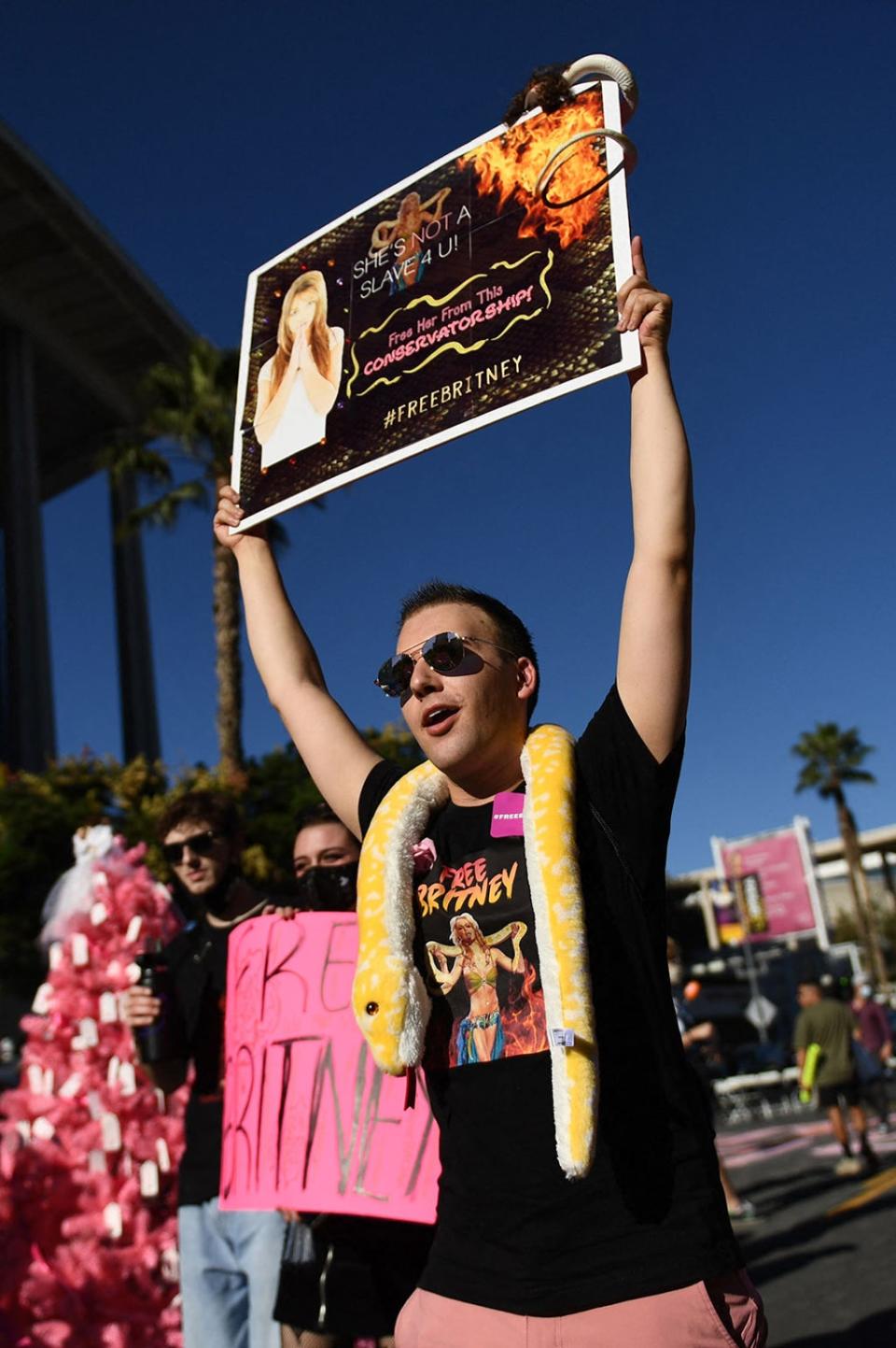 A #FreeBritney supporter in November calls for the freedom of Britney Spears (Patrick T Fallon/AFP/Getty)