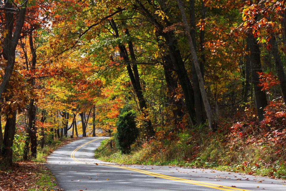 Maryland: Rock Lodge Road in Garrett County