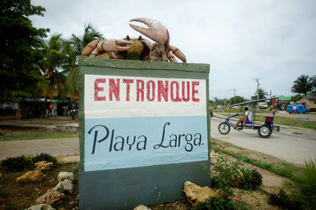 A giant crab monument is seen over a sign at the entrance of Playa Larga, Cuba, April 21, 2017. REUTERS/Alexandre Meneghini