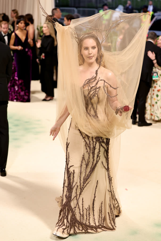 Lana in a sheer gown with tree branch design, at an event