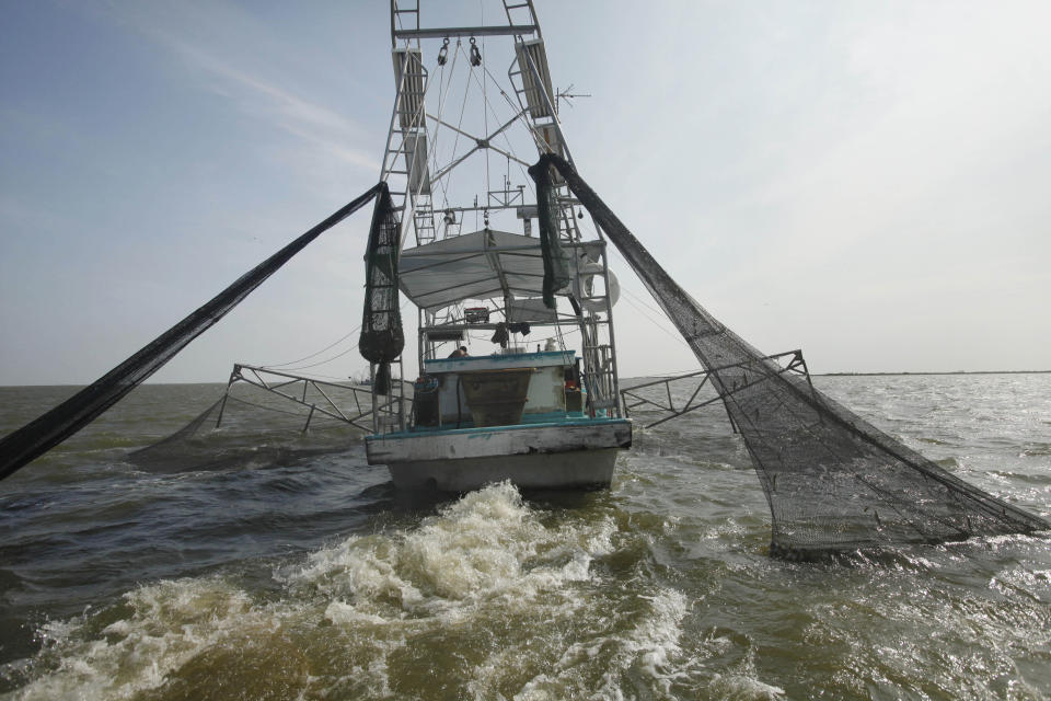 FILE - In an Aug. 16, 2010 file photo, shrimpers haul in their catch in Bastian Bay, near Empire, La., on the first day of shrimping season.It will be months before state officials know whether losses from floods and spillway openings qualify Louisiana as a fisheries disaster. Department of Wildlife and Fisheries officials say floods began around November 2018 and a full 12 months' data is needed to compare to averages for the previous 5 years. The governors of Louisiana, Mississippi and Alabama asked months ago for US Commerce Secretary Wilbur Ross to declare a fisheries disaster, making federal grants available to affected people. (AP Photo/Gerald Herbert, File)