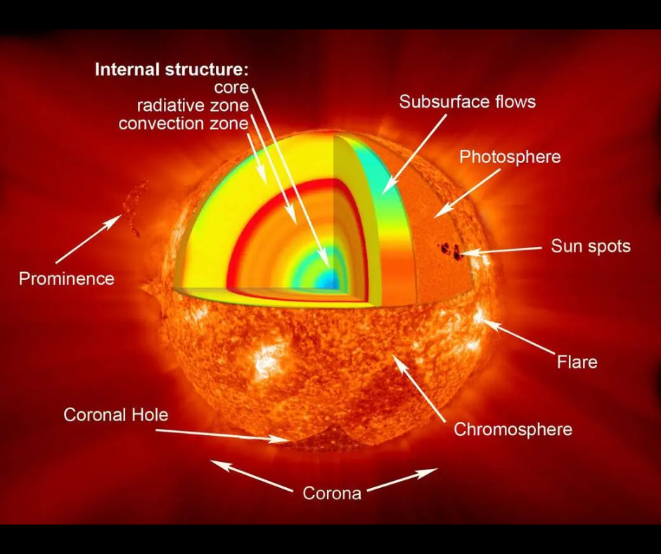 a cutaway of the sun, revealing several layers beneath its surface depicted in yellows, reds and oranges