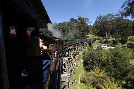 Puffing Billy steam engine driver Steve Holmes, 61, drives locomotive 12A across the Monbulk Creek trestle from Lakeside to Belgrave station near Melbourne, October 20, 2014. REUTERS/Jason Reed