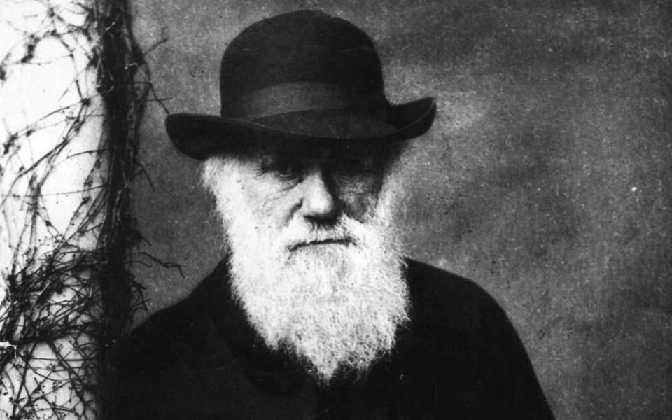 Charles Darwin - Hulton Archive