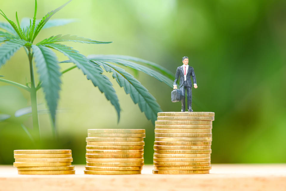 Three stacks of coins with a tiny businessman on top of one and a cannabis plant in the background