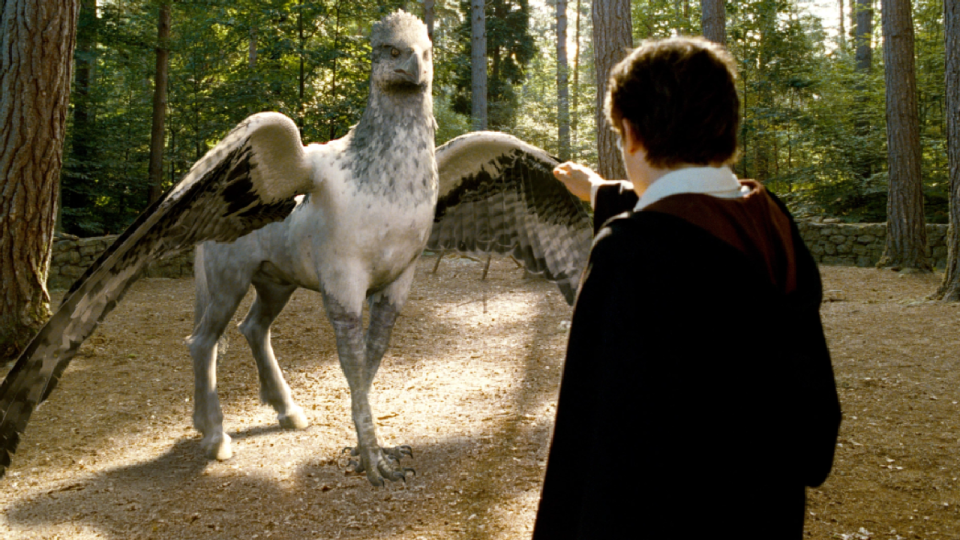 Hippogriff