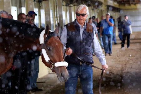 Jun 2, 2015; Elmont, NY, USA; American Pharoah walks in the barn with trainer Bob Baffert at Belmont Park. Mandatory Credit: Anthony Gruppuso-USA TODAY Sports