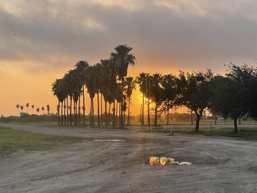 Arsenic is naturally found in the soil of South Texas, but can cause cognitive and health disorders. (Sandra Sanchez/Border Report File Photo)