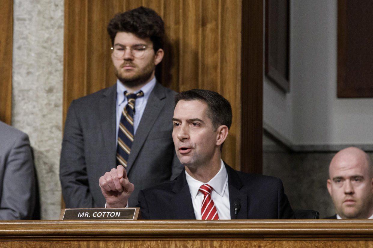 El senador republicano de Arkansas, Tom Cotton, interroga a un testigo durante una audiencia del Comité Judicial del Senado sobre la explotación sexual infantil en línea, en el Capitolio de Washington, el 31 de enero de 2024. (Anna Rose Layden/The New York Times)