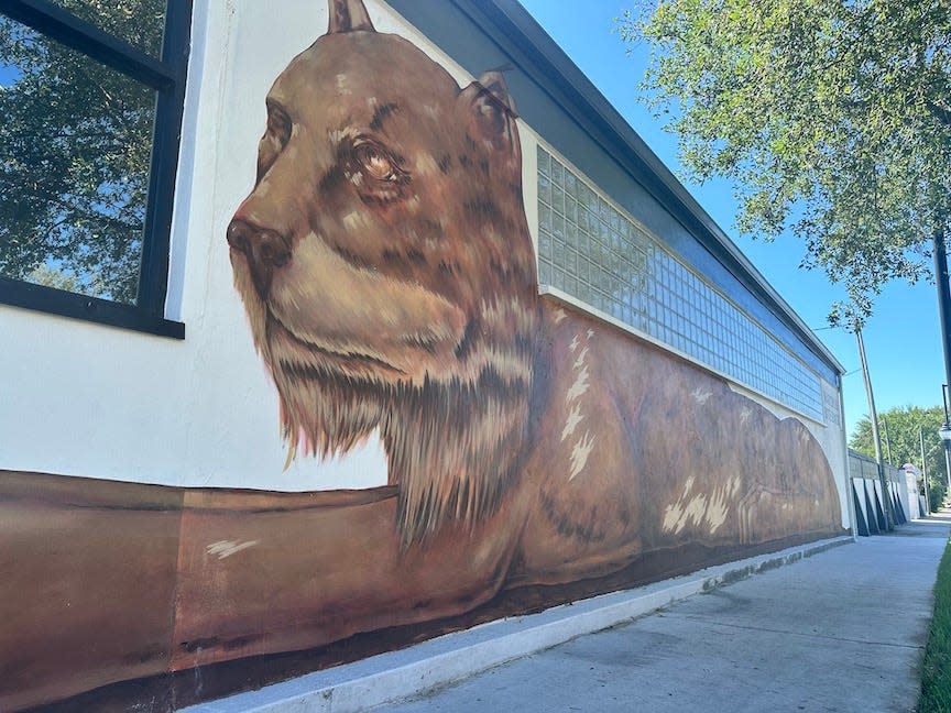 A mural on the outside of The Lynx Books at 601 S. Main St. in Gainesville.