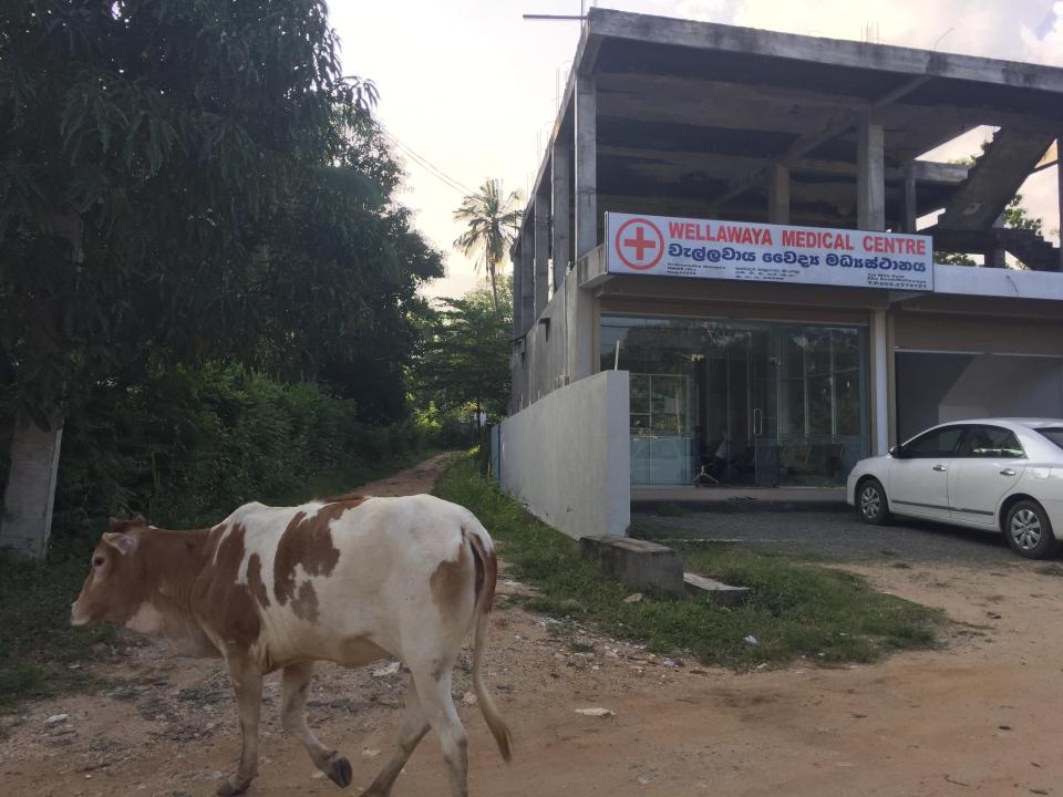 A medical centre in the town of Wellawaya — in the interior of the island — a typical example of the many small medical clinics that exist within communities - Meghan Davidson Ladly