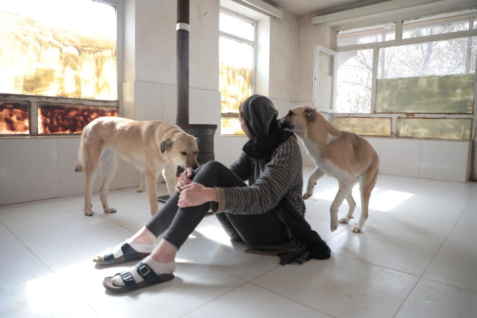 Charlotte Maxwell-Jones, the founder of Kabul Small Animal Rescue, spends time with two rescues. She started the organization in 2018.  / Credit: CBS News