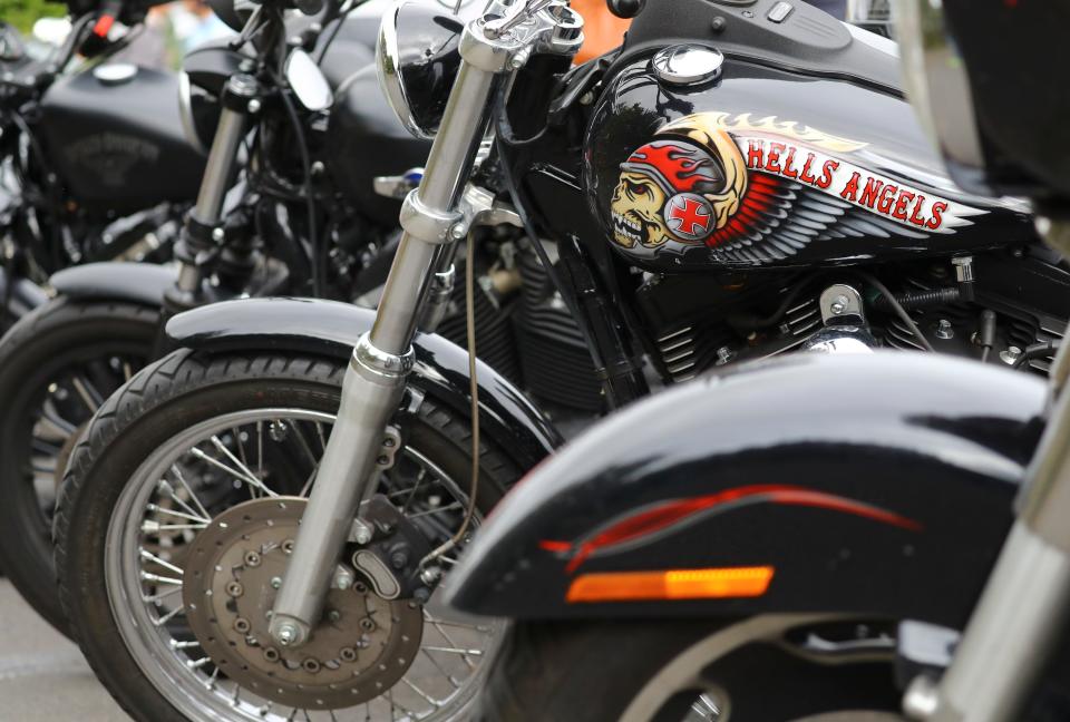 A decorated tank of a Harley Davidson motorbike is pictured in this 2016 file photo.