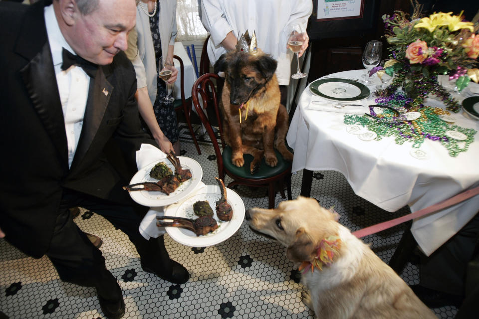 FILE _ Galatoire's waiter Imre Szalai serves Barkus King Rockafella, seated, and Queen Biscuit, on the floor, their royal lunch at the famous restaurant in the French Quarter of New Orleans, Feb. 9, 2007. The buildup to New Orleans’ Mardi Gras celebration intensifies Friday, Feb. 10, 2023, with nighttime parades rolling along St. Charles Avenue and animal lovers gathering at Galatoire's Restaurant to pay tribute to four-legged faux royalty. (AP Photo/Bill Haber, File)
