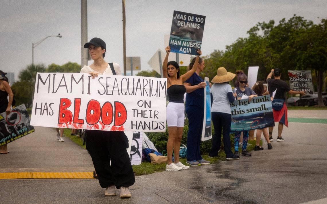 Stephanie Lane, with speciesism.wtf animal rights organization, stands with other during a gathering organized by SoFlo Animal Rights Activism two days after Lolita’s death outside the Miami Seaquarium on Sunday, Aug. 20, 2023, on Rickenbacker Causeway before Key Biscayne. Protestors were hoping to turn people away from visiting the Seaquarium.