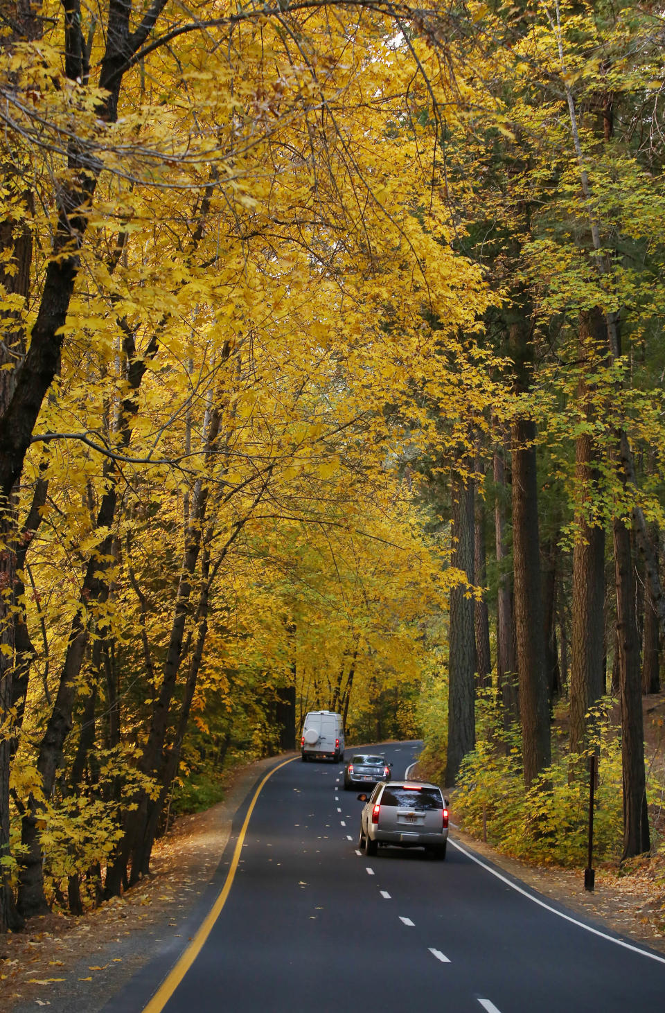 Tourists flock to the reopening of the famed Yosemite National Park, Calif., Thursday, Oct. 17, 2013 near the Bridalveil Fall. The park reopened Wednesday night with the end of the 16-day partial government shutdown. (AP Photo/Gary Kazanjian)