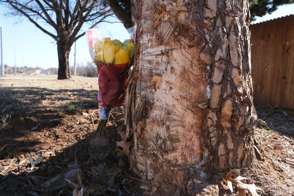 Bark is missing from a tree that was impacted by a pickup during a fatality accident Thursday near SW 134 and Pennsylvania Avenue involving a Westmoore High School student. On Friday, a lone bunch of flowers had been set as a memorial.